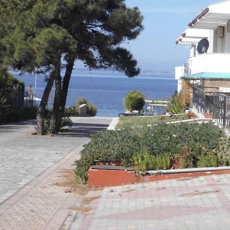 Dafni'S Home 50 Meters From The Beach Gerakini Buitenkant foto